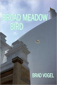 41mqxh9brvl-_sx331_bo1204203200_